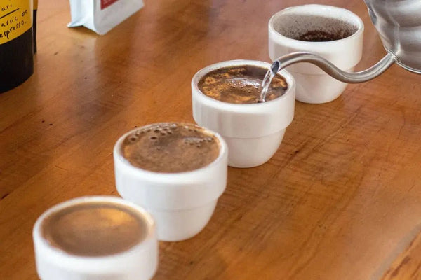 Dégustation - Barista et Espresso