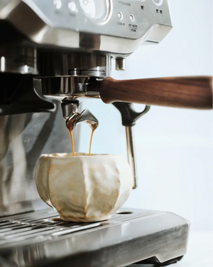 Portafilter pour la série Sage Barista (54 mm) - Barista et Espresso