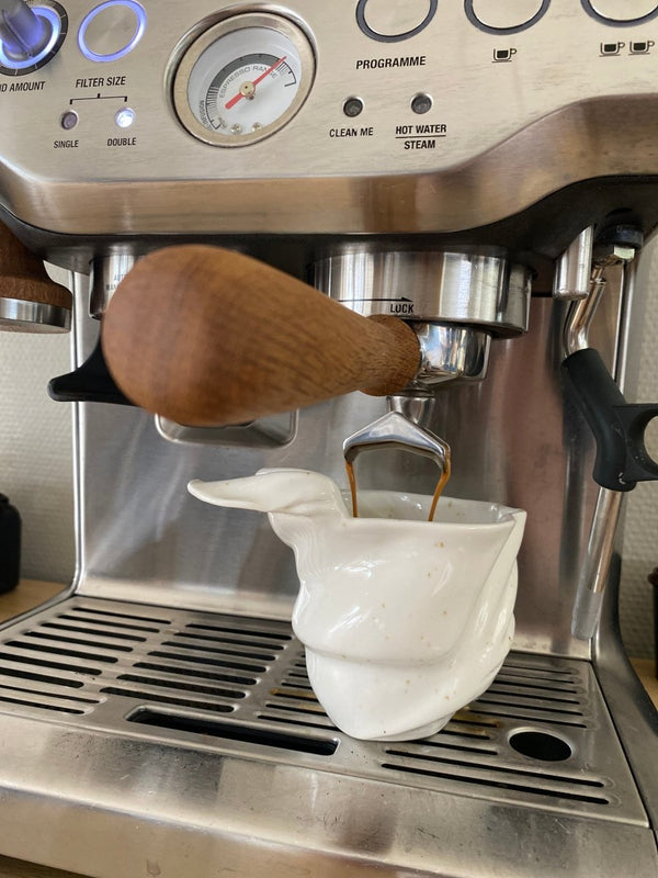 Portafilter till Sage (54 mm) - Barista och Espresso
